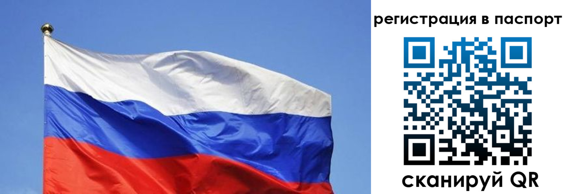прописка в квартире в Медногорске